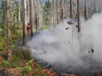 Incendio