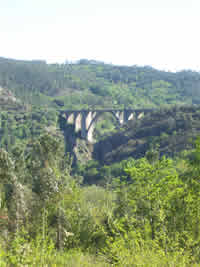 Ponte en Donas