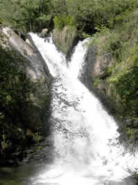 Fervenza en Lestedo